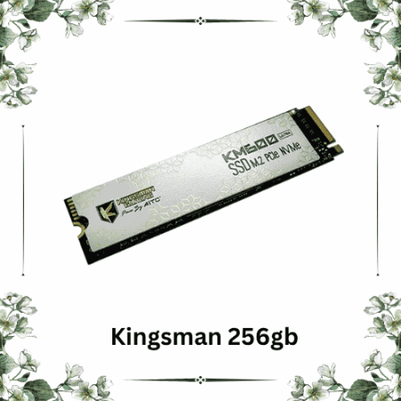 kingsman 256gb nvme