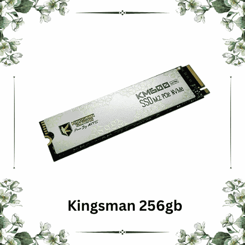 kingsman 256gb nvme
