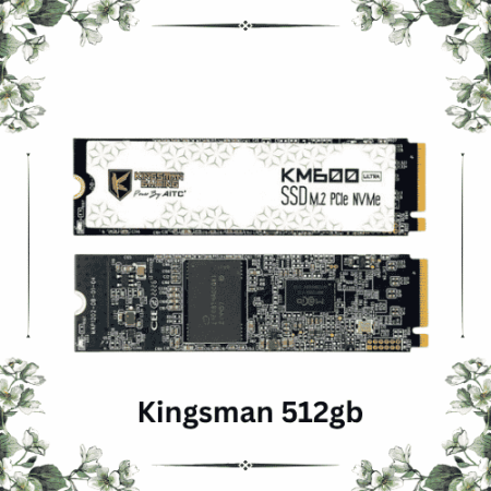 kingsman 512gb nvme